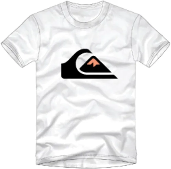 Футболка Quiksilver COMPLOGO TEES WBB0 EQYZT07658-WBB0