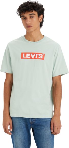 Футболка Levis SS RELAXED FIT TEE GREENS 16143-1377