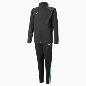 Спортивный костюм Puma teamLIGA Tracksuit Jr 65852603