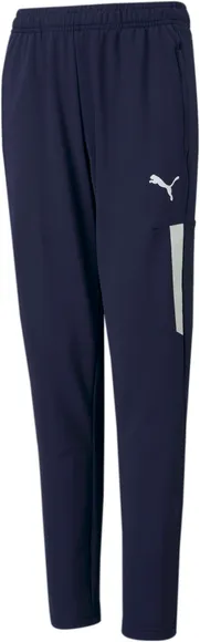 Брюки Puma teamLIGA Training Pants Pro Jr 65733506