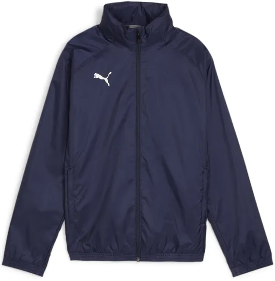 Ветровка Puma teamGOAL Allweather Jkt Jr 65904506