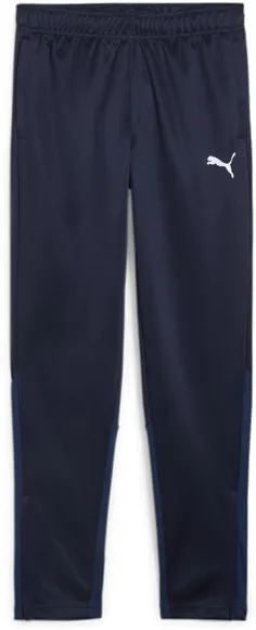 Брюки Puma teamGOAL Training Pant Jr 65864106