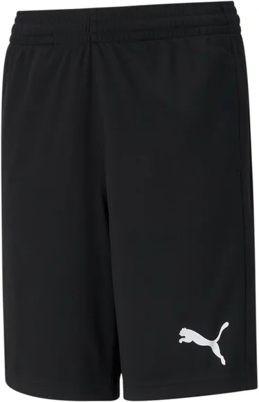 Шорты Puma ACTIVE Interlock Shorts B 58698201