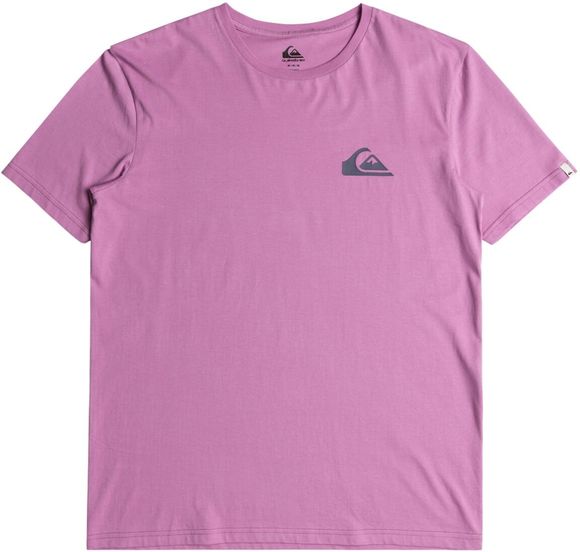 Футболка Quiksilver MWMINILOGO TEES PHP0 EQYZT07657-PHP0