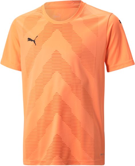 Футболка Puma teamGLORY Jersey Jr 70530921