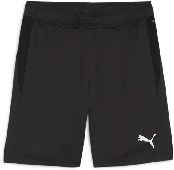 Шорты Puma teamGOAL Training Short