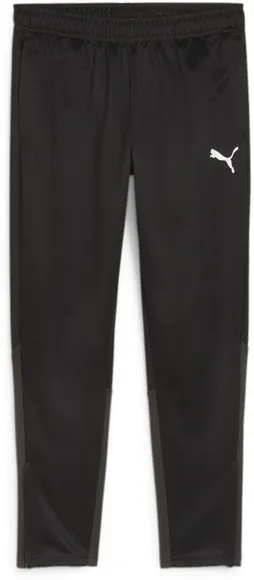 Брюки Puma teamGOAL Training Pant 65863903