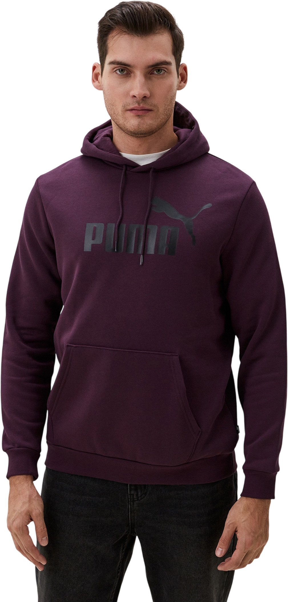 Толстовка Puma ESS Big Logo Hoodie FL (s)