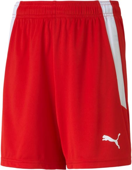 Шорты Puma teamLIGA Shorts Jr 70493101