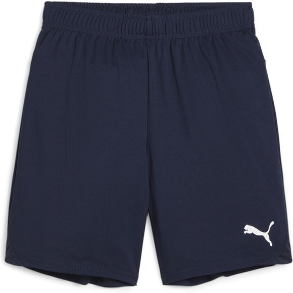 Шорты Puma teamGOAL Shorts Jr