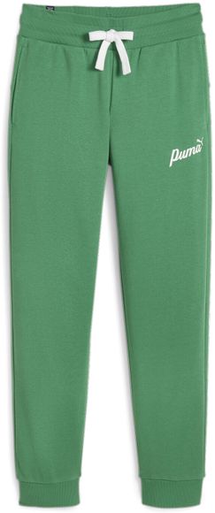 Брюки Puma ESS+ Script Pants TR 67935086