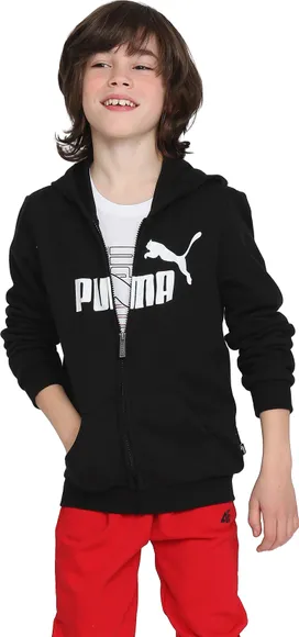 Толстовка Puma ESS Big Logo FZ Hoodie TR B 58696801