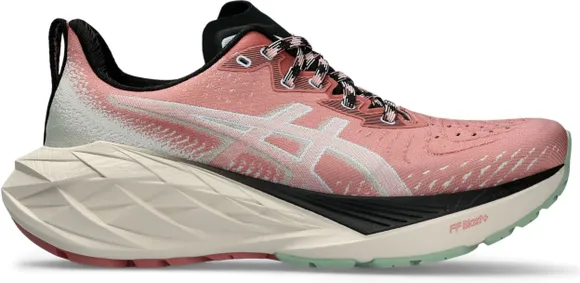 Кроссовки Asics NOVABLAST 4 TR 1012B654-250