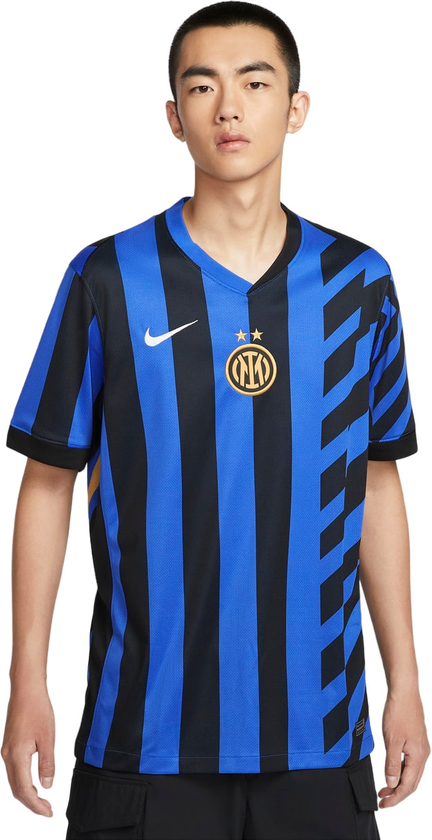 Футболка Nike INTER M NK DF JSY SS STAD HM