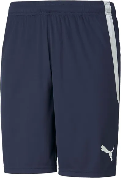 Шорты Puma teamLIGA Shorts 70492406