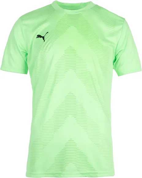 Футболка Puma teamGLORY Jersey 70501720