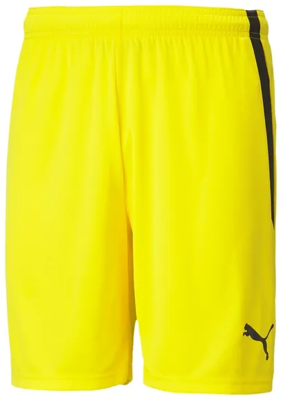 Шорты Puma teamLIGA Shorts 70492407