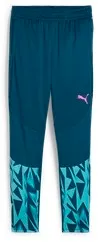 Брюки Puma individualFINAL Training Pants 65902156