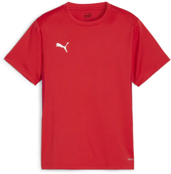 Футболка Puma teamGOAL Jersey Jr 65863701