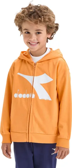 Толстовка Diadora JU.HOODIE FZ DR10217935240036