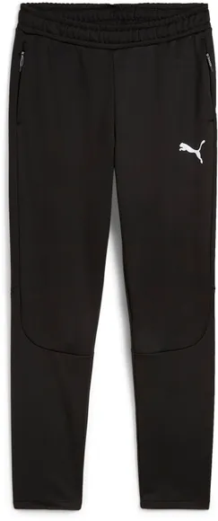 Брюки Puma EVOSTRIPE Warm Pants DK 68170401