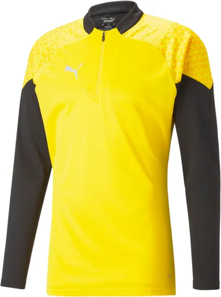 Джемпер Puma teamCUP Training 1/4 Zip Top 65798219