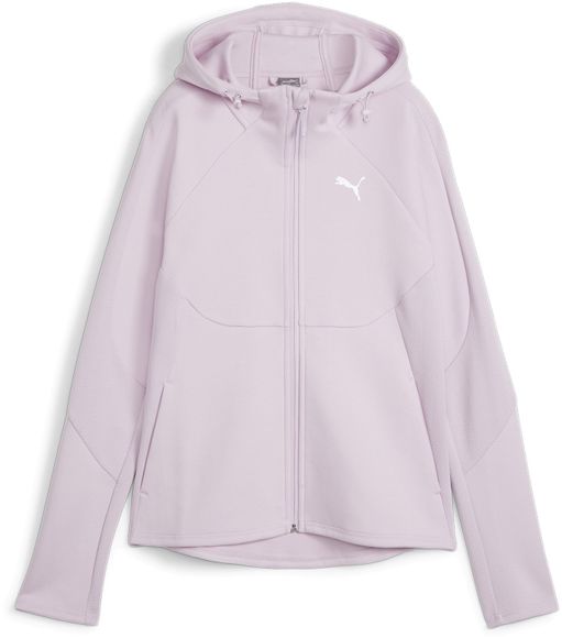 Толстовка Puma EVOSTRIPE FZ Hoodie