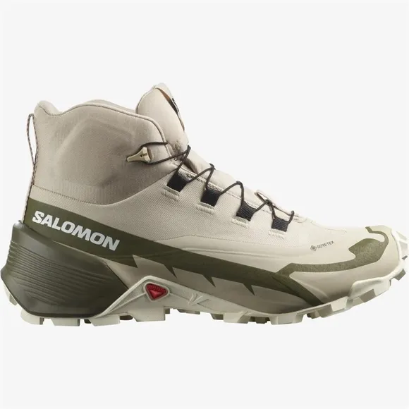 Кроссовки Salomon CROSS HIKE MID GTX 2 W L41731100