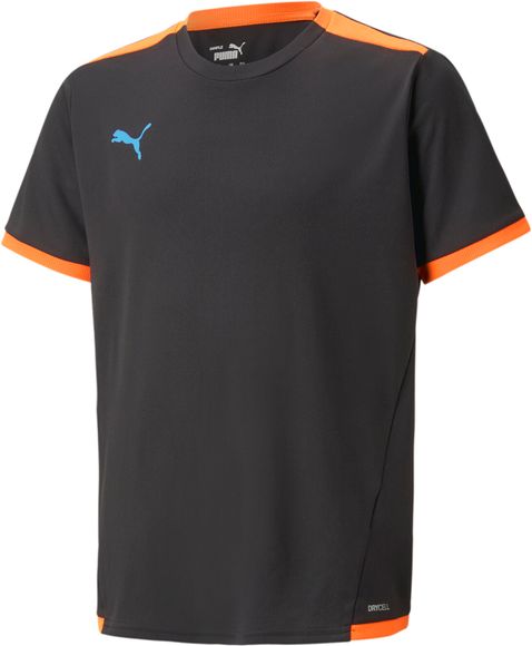 Футболка Puma teamLIGA Jersey Jr 70492552