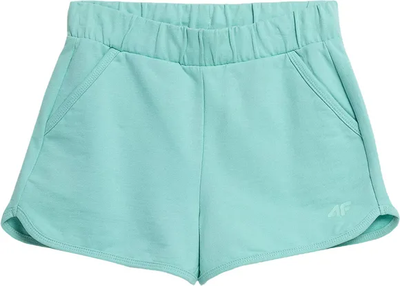 Шорты 4F SHORTS CAS F099 4FJSS23TSHOF099-47S