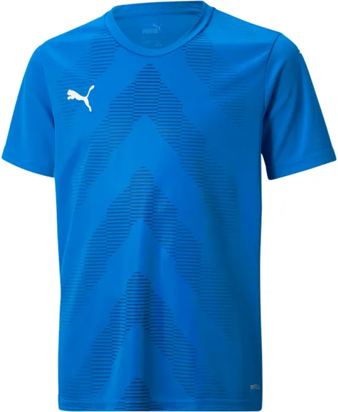 Футболка Puma teamGLORY Jersey Jr