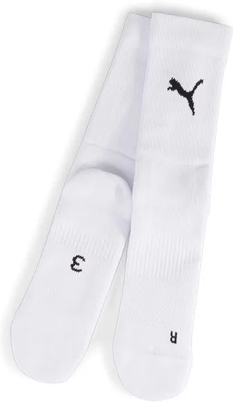 Носки Puma teamGOAL Performance Sock 70611904