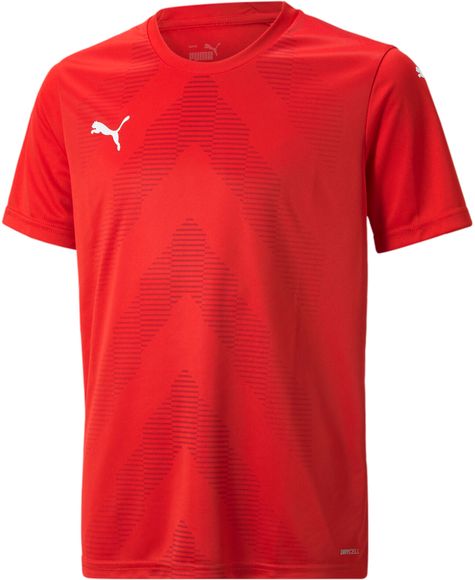 Футболка Puma teamGLORY Jersey Jr 70530901