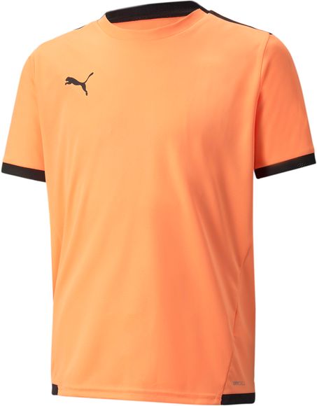 Футболка Puma teamLIGA Jersey Jr 70492544