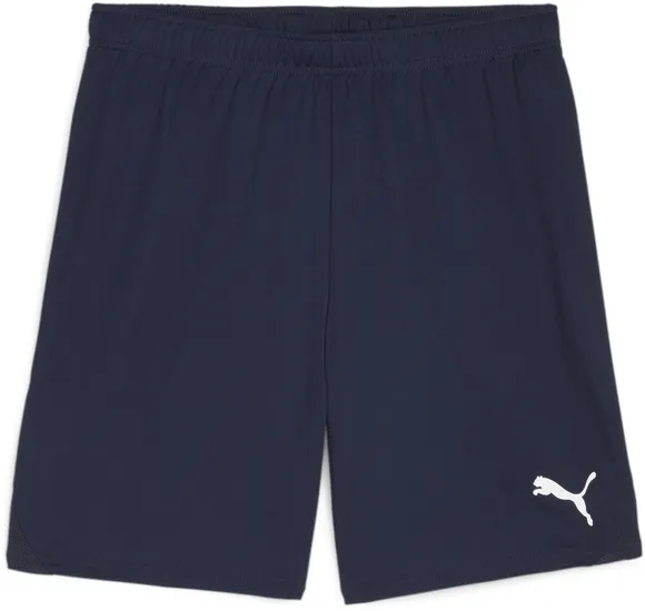 Шорты Puma teamGOAL Shorts