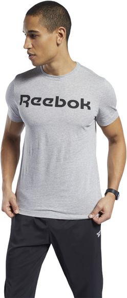 Футболка GS Reebok Linear Read Tee 100038780