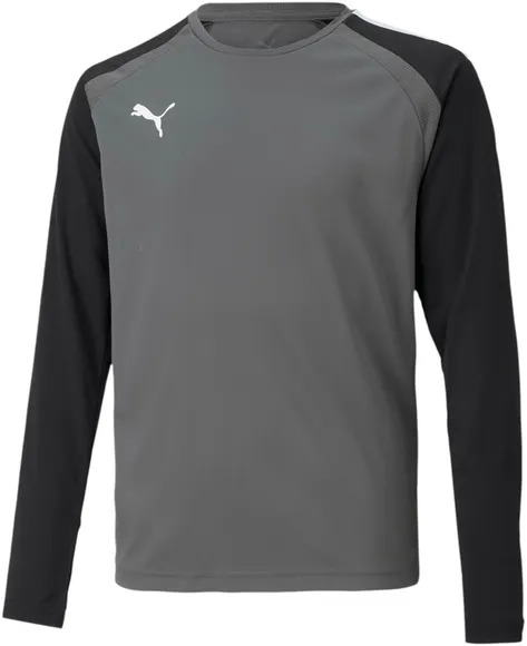 Лонгслив Puma teamPACER GK LS Jersey Jr 70493943