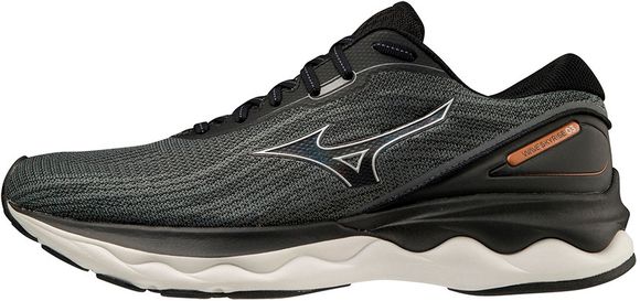 Кроссовки Mizuno WAVE SKYRISE 3 J1GC2209-04