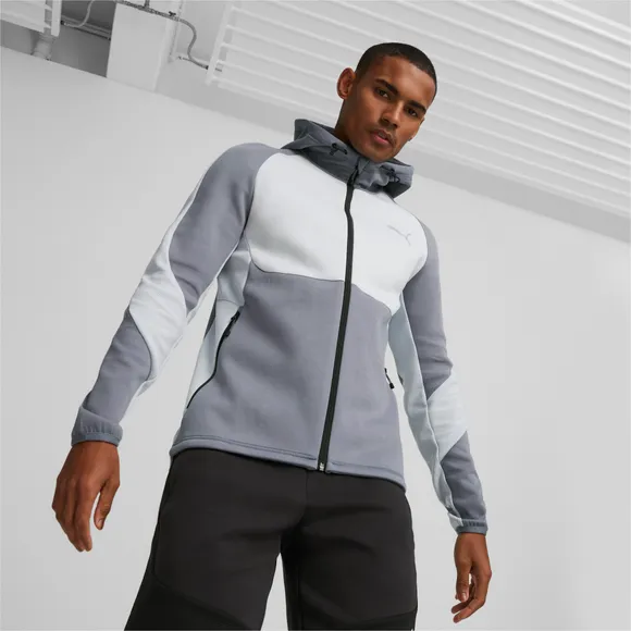 Толстовка Puma EVOSTRIPE Full-Zip Hoodie DK 67331369