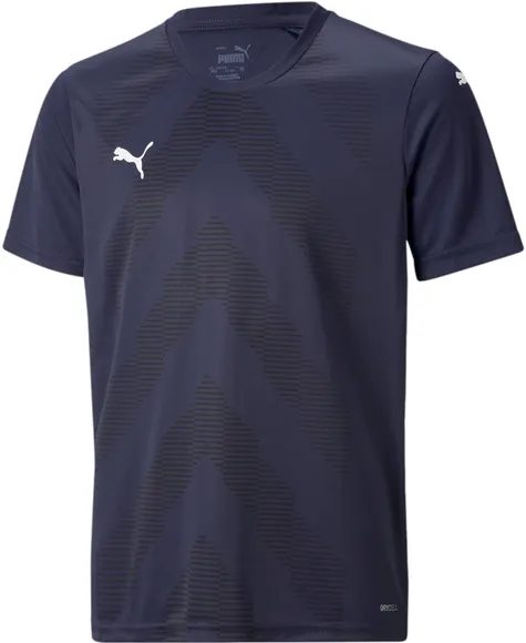 Футболка Puma teamGLORY Jersey Jr 70530906