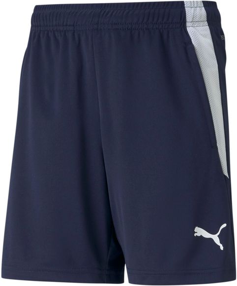 Шорты Puma teamLIGA Training Shorts Jr 65725006