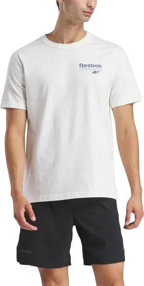 Футболка Reebok RI BRAND PROUD GFX SS TEE 100208575