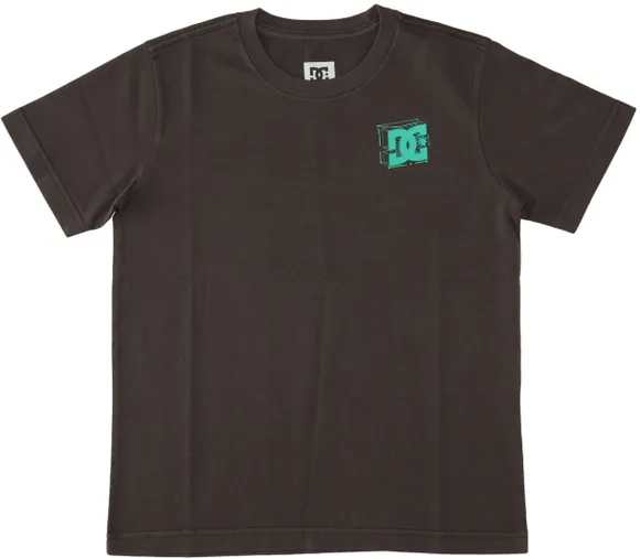 Футболка DC Shoes MID CENTURY TEES KVJW ADBZT03255-KVJW