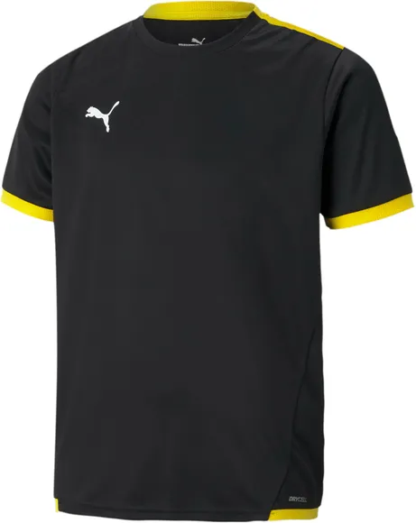 Футболка Puma teamLIGA Jersey Jr 70492526