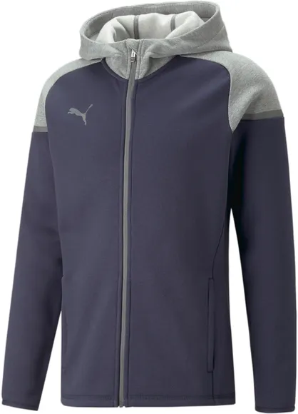 Толстовка Puma teamCUP Casuals Hooded Jkt 65798706