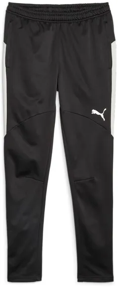 Брюки Puma Individual Winterized Pants 65851103