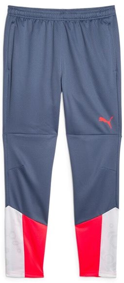 Брюки Puma individualCUP Training Pants 65848753