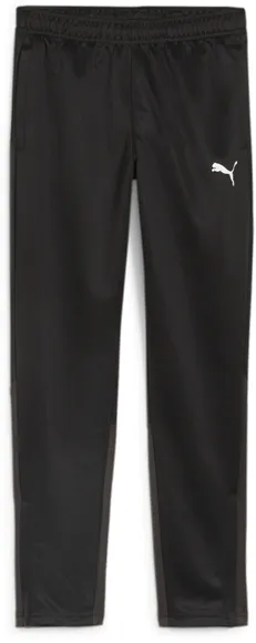 Брюки Puma teamGOAL Training Pant Jr 65864103