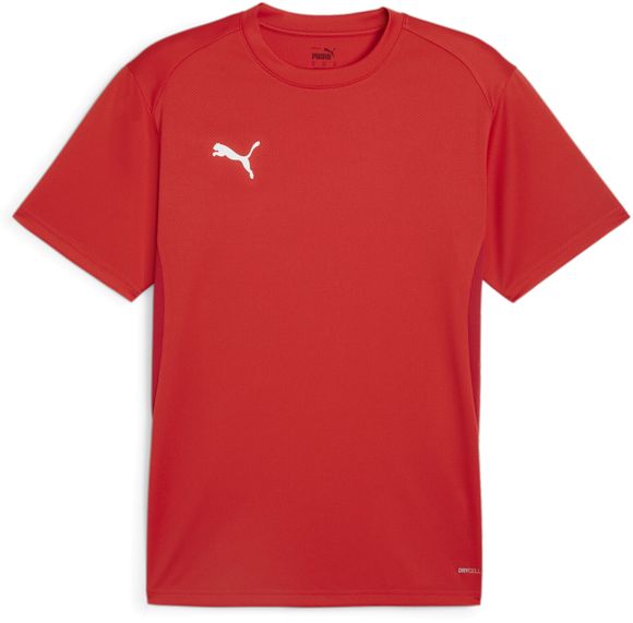 Футболка Puma teamGOAL  Jersey