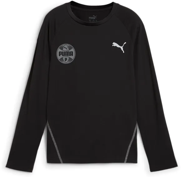 Лонгслив Puma ACTIVE SPORTS Longsleeve Tee B